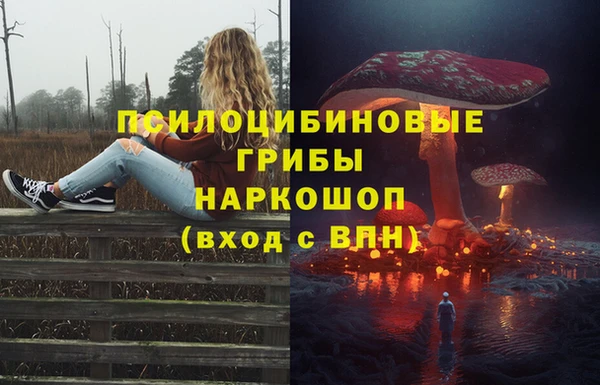 ECSTASY Алексеевка